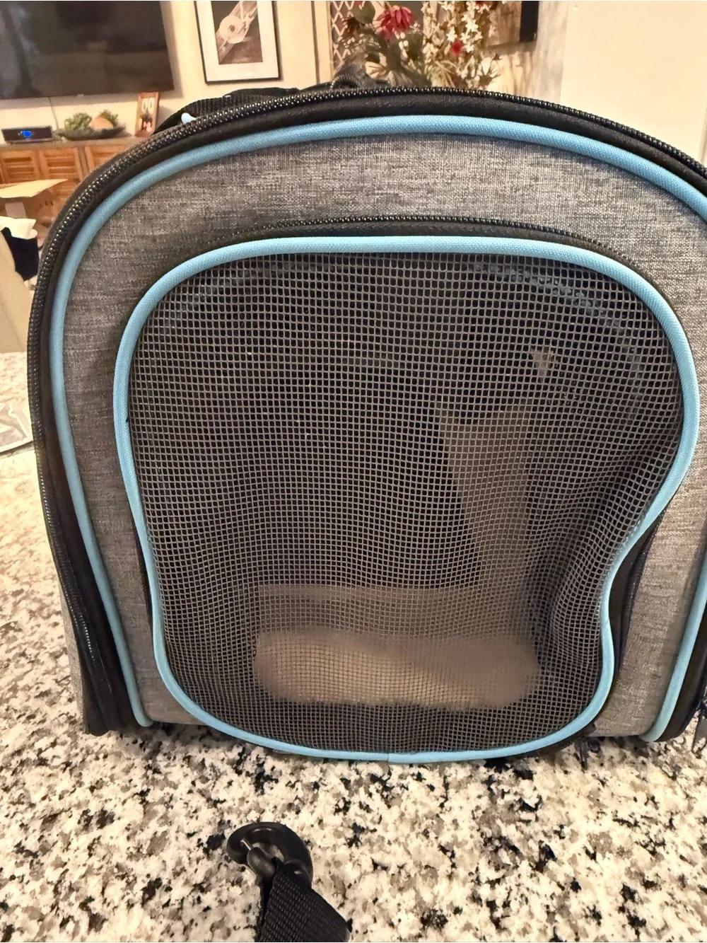 Pet  carrier Gray and Light Blue Soft-Sided Pet Carrier with Removable Strap
